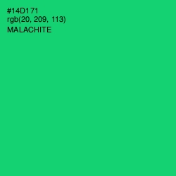 #14D171 - Malachite Color Image
