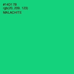 #14D17B - Malachite Color Image