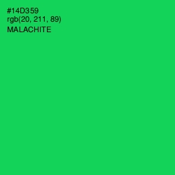 #14D359 - Malachite Color Image