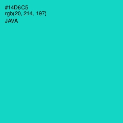 #14D6C5 - Java Color Image