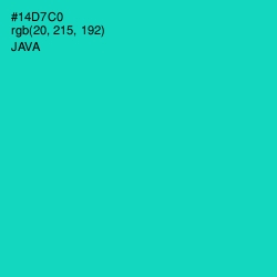 #14D7C0 - Java Color Image