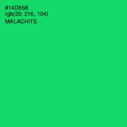 #14D868 - Malachite Color Image