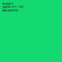 #14D971 - Malachite Color Image