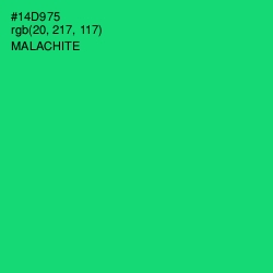 #14D975 - Malachite Color Image