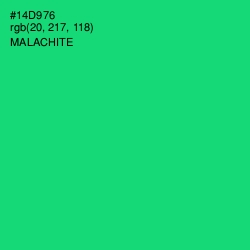 #14D976 - Malachite Color Image