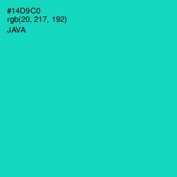 #14D9C0 - Java Color Image