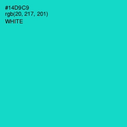 #14D9C9 - Robin's Egg Blue Color Image