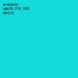 #14DADC - Robin's Egg Blue Color Image