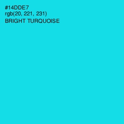 #14DDE7 - Bright Turquoise Color Image