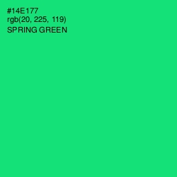 #14E177 - Spring Green Color Image