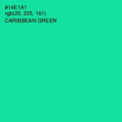 #14E1A1 - Caribbean Green Color Image