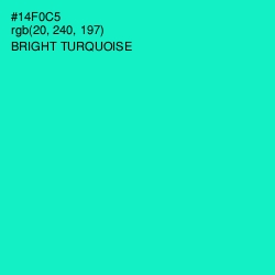 #14F0C5 - Bright Turquoise Color Image