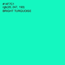 #14F7C1 - Bright Turquoise Color Image