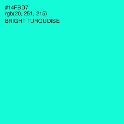 #14FBD7 - Bright Turquoise Color Image