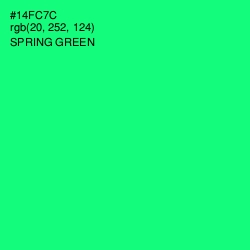 #14FC7C - Spring Green Color Image