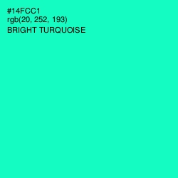 #14FCC1 - Bright Turquoise Color Image