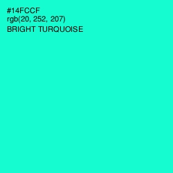 #14FCCF - Bright Turquoise Color Image