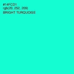 #14FCD1 - Bright Turquoise Color Image