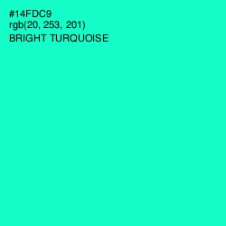 #14FDC9 - Bright Turquoise Color Image