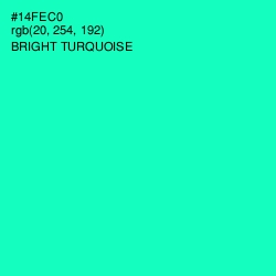 #14FEC0 - Bright Turquoise Color Image