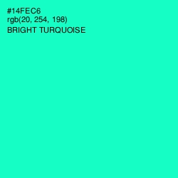 #14FEC6 - Bright Turquoise Color Image