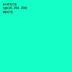 #14FEC8 - Bright Turquoise Color Image