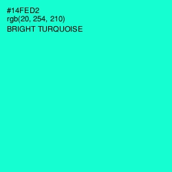 #14FED2 - Bright Turquoise Color Image