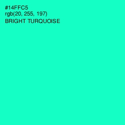 #14FFC5 - Bright Turquoise Color Image