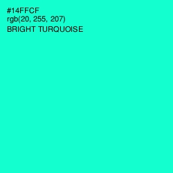 #14FFCF - Bright Turquoise Color Image
