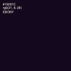#15081C - Ebony Color Image