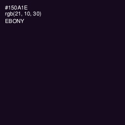 #150A1E - Ebony Color Image