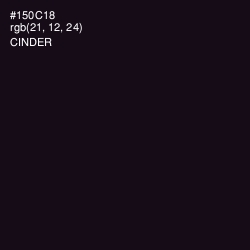 #150C18 - Cinder Color Image