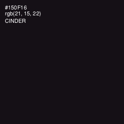 #150F16 - Cinder Color Image