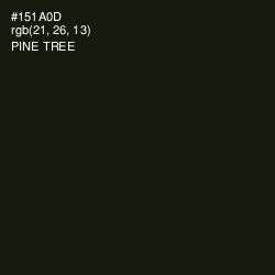 #151A0D - Pine Tree Color Image