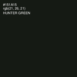 #151A15 - Hunter Green Color Image