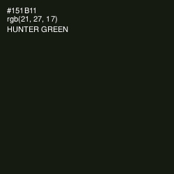 #151B11 - Hunter Green Color Image