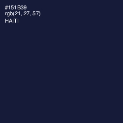 #151B39 - Haiti Color Image