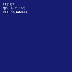#151C71 - Deep Koamaru Color Image