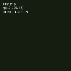 #151D10 - Hunter Green Color Image