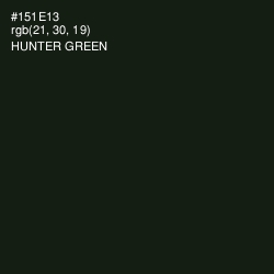 #151E13 - Hunter Green Color Image