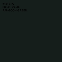 #151E1A - Rangoon Green Color Image