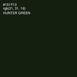 #151F10 - Hunter Green Color Image