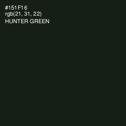 #151F16 - Hunter Green Color Image