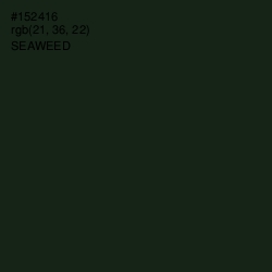 #152416 - Seaweed Color Image