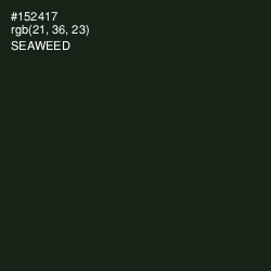 #152417 - Seaweed Color Image