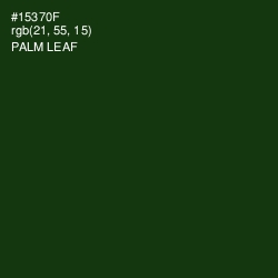 #15370F - Palm Leaf Color Image
