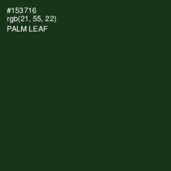 #153716 - Palm Leaf Color Image