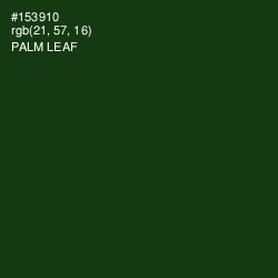 #153910 - Palm Leaf Color Image
