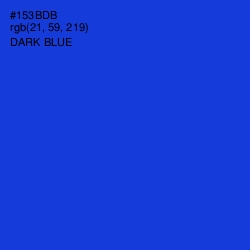 #153BDB - Dark Blue Color Image