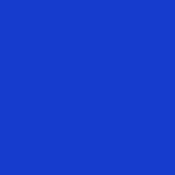 #153CCC - Dark Blue Color Image